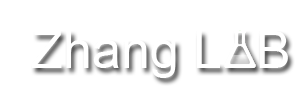 Zhang Lab